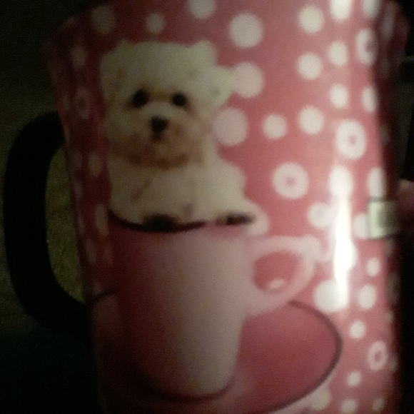 Maltose White puppy in teacup Coffee Mug - Picture 4 of 5